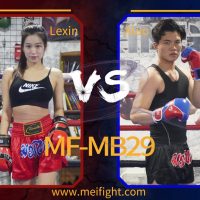 MF-MB29 Mixed boxing