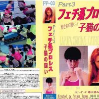 fp03